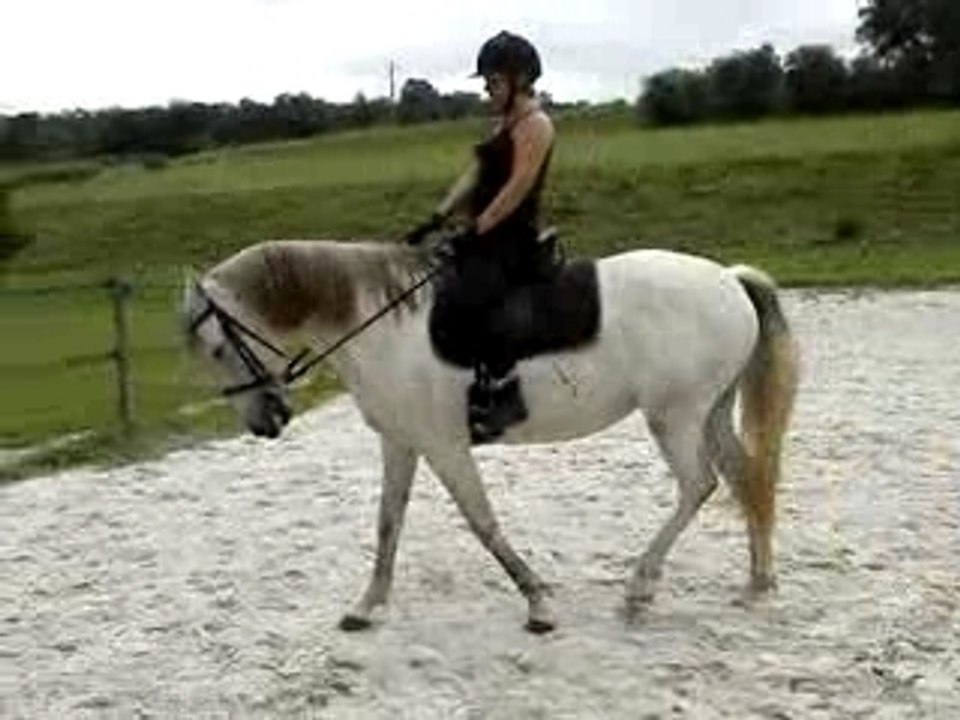 Hanche en dedans equitation