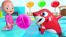 Funny Baby Food Feed Show - BIG JELLY LOLLIPOPS - 3D Animation for Children