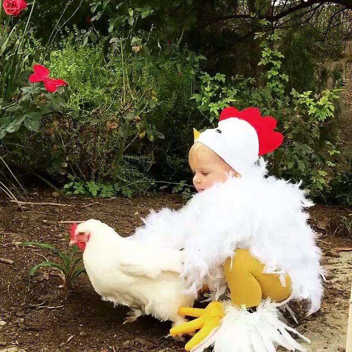 Ally's Chicken Costume Video