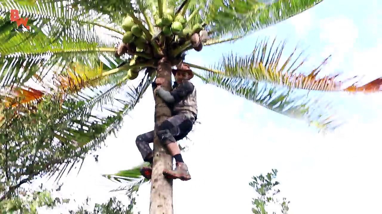 Coconut Breakfast!
