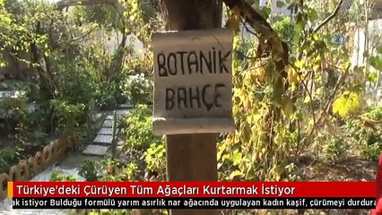 Türkiye'deki Çürüyen Tüm Ağaçları Kurtarmak İstiyor