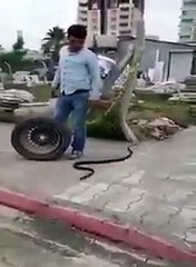 Yılanla tekerlek yaptırmaya giden adanalı