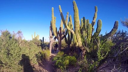 How to Play Team Building Activities