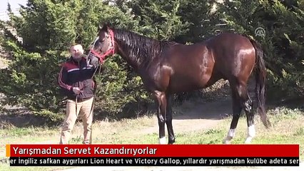 Yarışmadan Servet Kazandırıyorlar