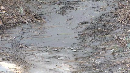 '액상화 현상' 조사 대상 포항 전역으로 확대 / YTN