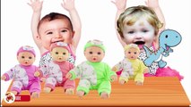 Baby Learn and Learn Colors - Baby Doll - Finger Family Song Collection