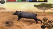 Ultimate Savanna Simulator - Warthog - Android/iOS - Gameplay Part 6