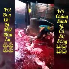 MIẾNG ĂN MÁU ĐỔ THỊT RƠI, GIẾT BAO SINH  MẠNG  NGẬP TRỜI  OÁN THAN