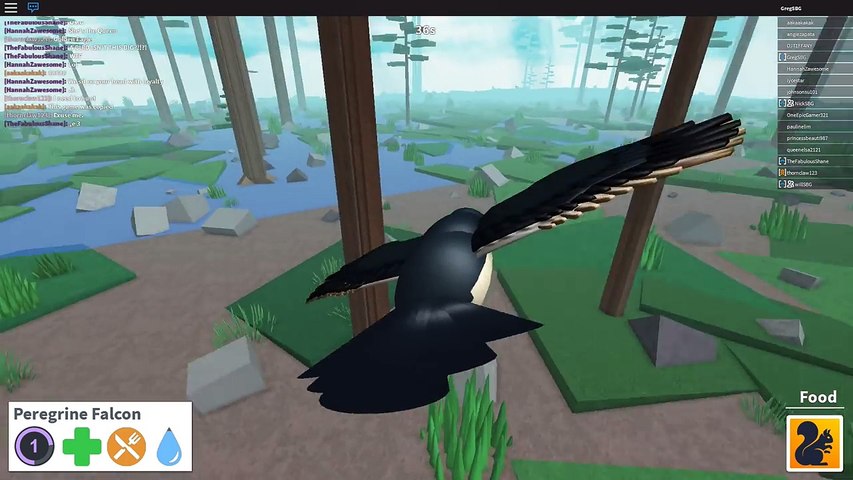 Team Sbg Plays Roblox Bird Simulator Alpha Family Multiplayer - roblox cabin crew simulator alpha get robux in game