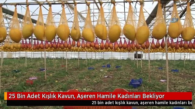 25 Bin Adet Kışlık Kavun, Aşeren Hamile Kadınları Bekliyor