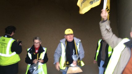 Manifestation contre le soja OGM