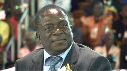 'Crocodile' Mnangagwa: Zimbabwe's president in waiting