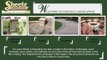 Landscaping Companies Crystal Lake & Barrington | Sheetz Landscaping