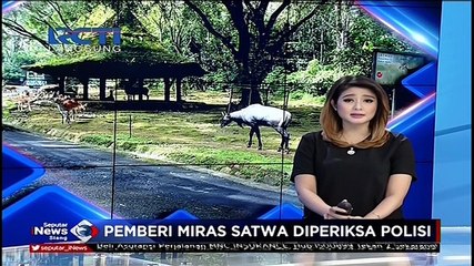 Pemberi Miras Satwa Diperiksa Polisi