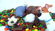 Compilation of Everything Secret Life of Pets Video / Bath Paint, Nesting dolls, D.I.Y. Slime / TUYC