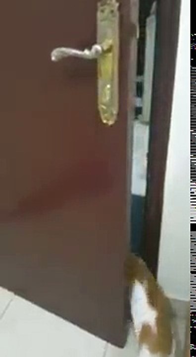 ق
