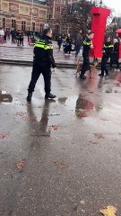 Man Eats Pepper Spray and Tries to Bite Police Dog