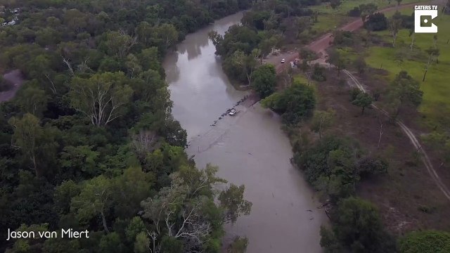 Spot the croc! Incredible aerial footage shows dozens of saltwater crocodiles lurking close to cars at Australia’s most infamous river crossing