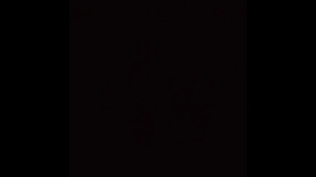 Emilie Nef Naf et Bruno Cerella plus amoureux que jamais