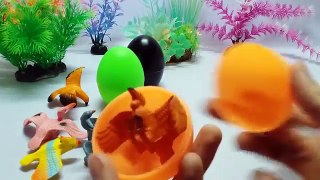 Learn Names of Fruits and Vegetables with Toy Velcro Cutting Fruits and Vegetables