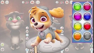 Learn Colors with Paw Patrol & Talking Tom Colours for Kids Animation Education Cartoon Compilation