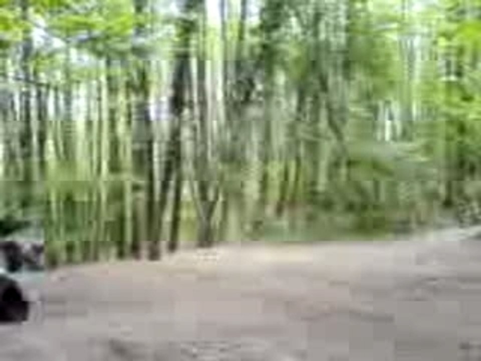Chute remix