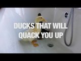 Ducks That Will Quack You Up