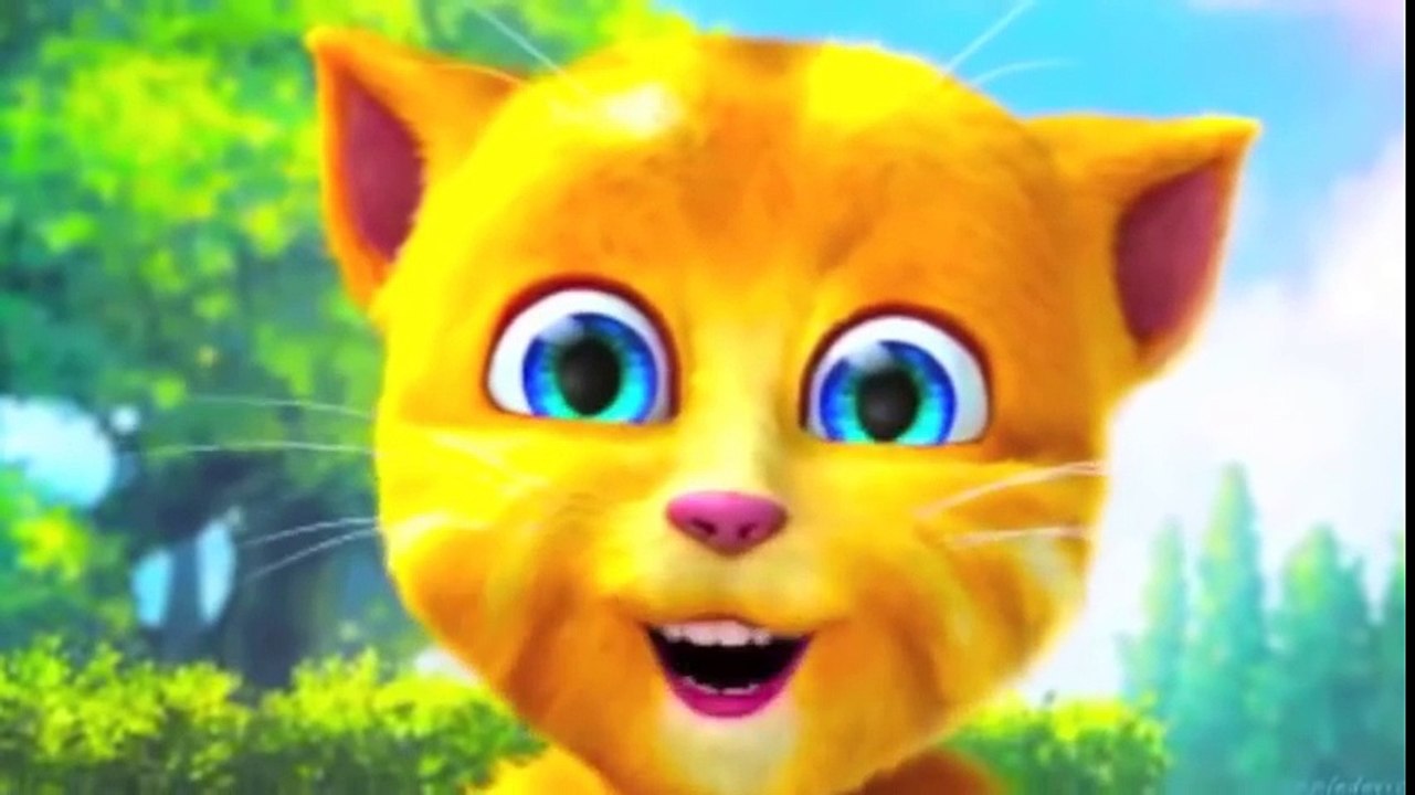 Рыжик смешной говорящий кот 귀여운 고양이. 재미 고양이