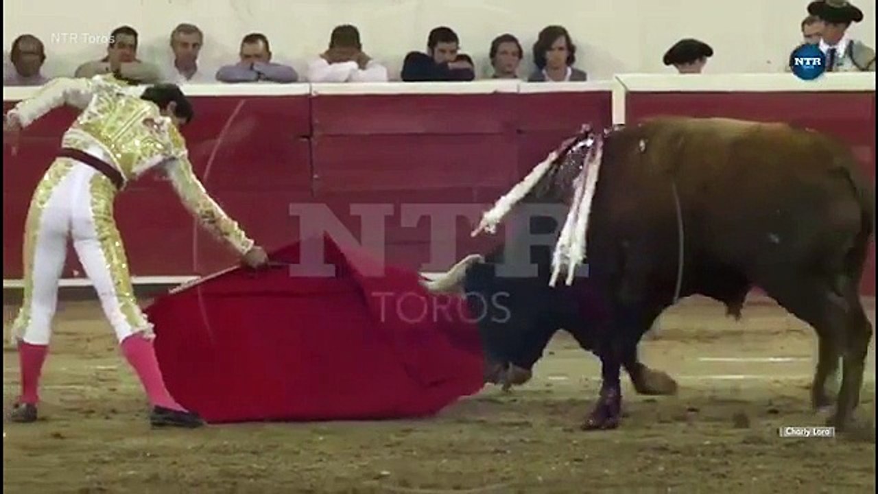 Un toréro se fait encorner dans les testicules par le taureau