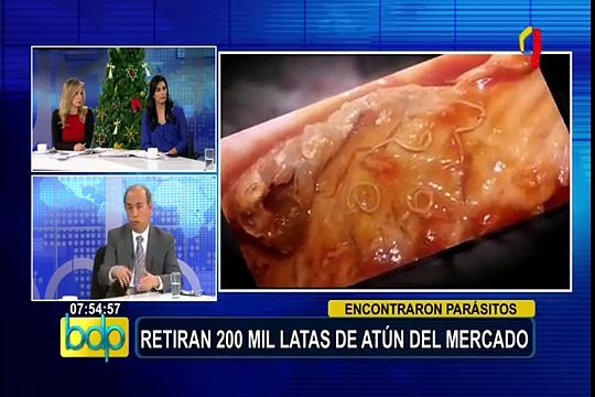 Presidente de Aspec se pronuncia sobre conservas de caballa con parásitos