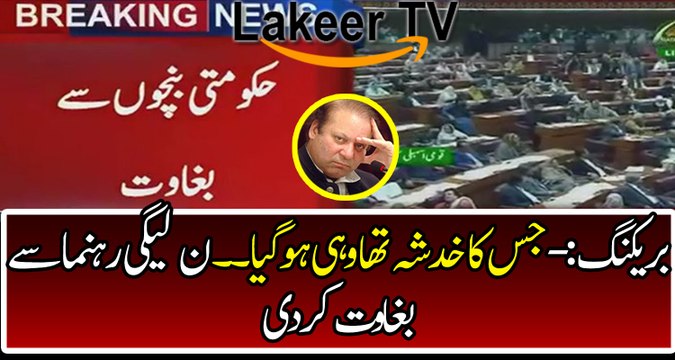 Breaking: PML-N Leaders Stand against Party in Parliament