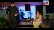Mein Mehru Hoon Ep 02 - on ARY Zindagi in High Quality 21st November 2017