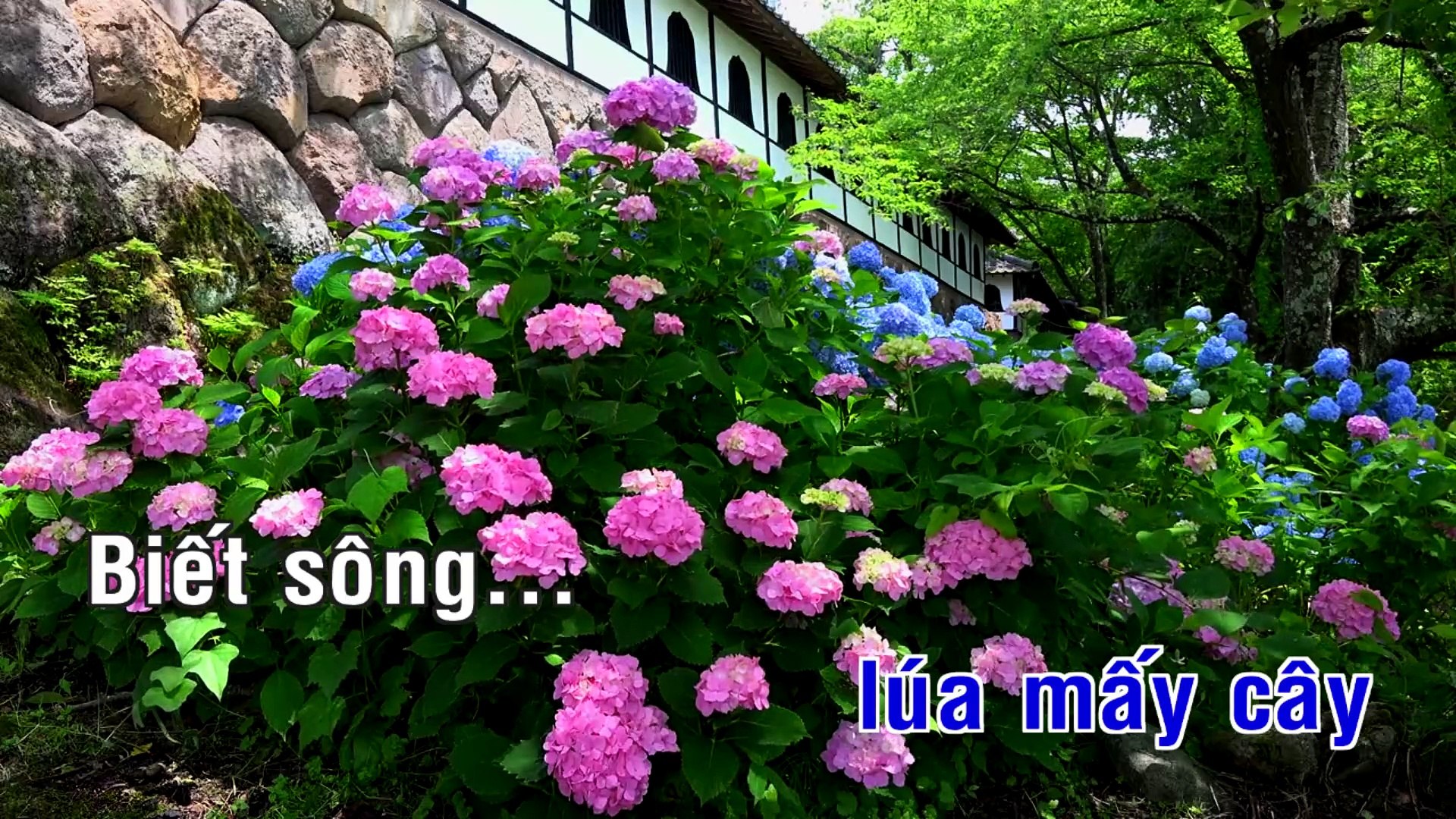 ⁣Karaoke - Đố Ai - Alan Ái  Liên Ái