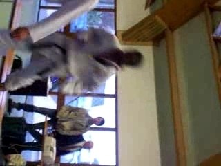 REMISE MEDAILLE ISMAEL OR