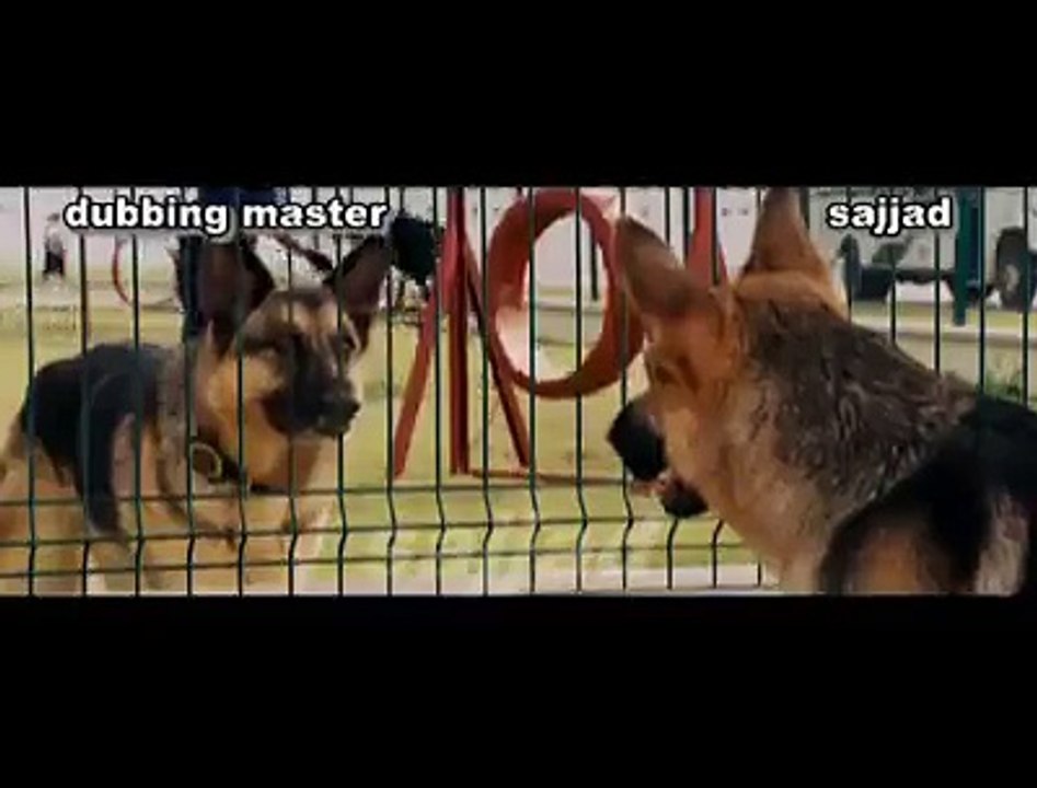 dogs job