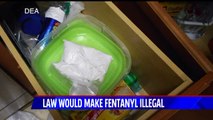 New Federal Law Will Make it More Difficult for Drug Dealers to Get Away With Selling Fentanyl