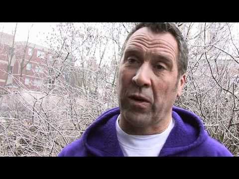 Seaman says 'fantastic' Spurs can win Champions League