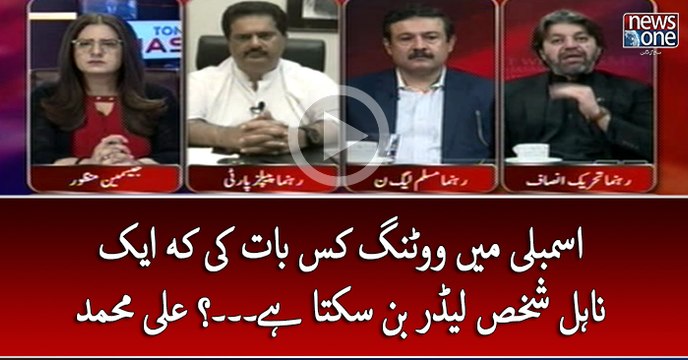 #Assembly Main #Voting Kis Baat Ki Kay Ek NaEhl Shakhs #Leader Ban Sakta Hai... #AliMuhammad