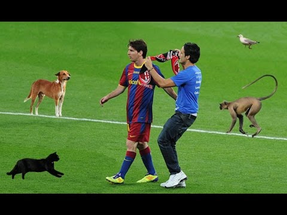 The World's Funniest Pitch Invaders