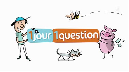 1 jour, 1 question - c'est quoi les droits de l'enfants ???