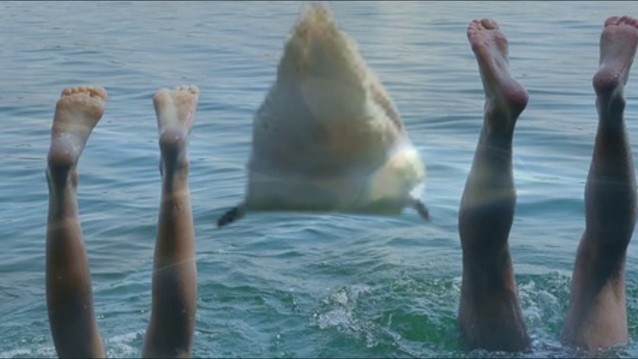 HUMOR (Animals and People) ★ kostenlos free download music