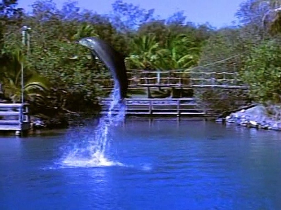 Flipper 1995 S02e22 Reflections