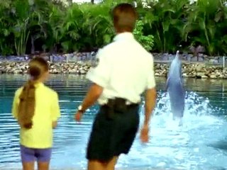 Flipper 1995 S03e01 A Fine Romance