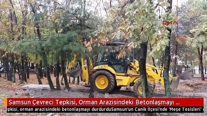 Samsun Çevreci Tepkisi, Orman Arazisindeki Betonlaşmayı Durdurdu