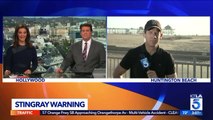 Southern California Beachgoers Warned About Stingrays