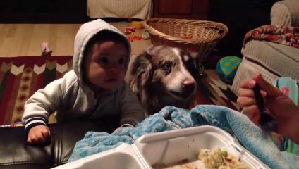 Cet enfant n'apprécie pas que son chien dise maman avant lui
