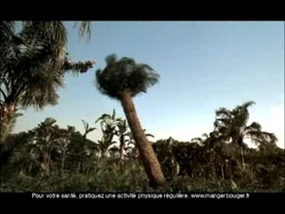 CATAPULTE MS ACTIVITE 20s