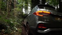 SsangYong Rexton 2017 - Off-road