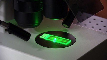 빛과 전자 융합...전천후 첨단 현미경 개발 / YTN