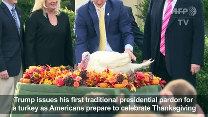Trump issues first pardon -- of a turkey